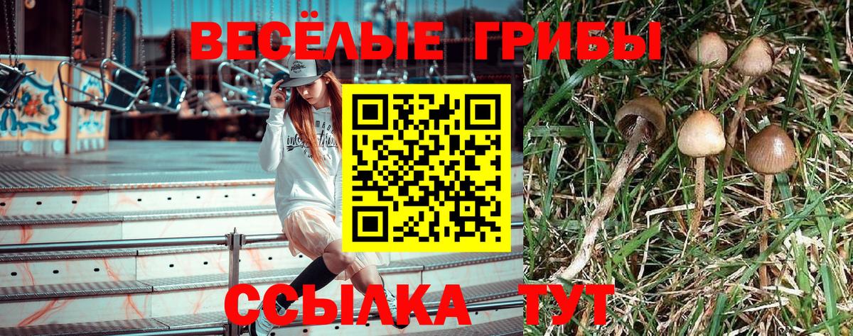 Галлюциногенные грибы прущие грибы  Псилоцибиновые грибы Psilocybine cubensis  Кинель  Вход с VPN 